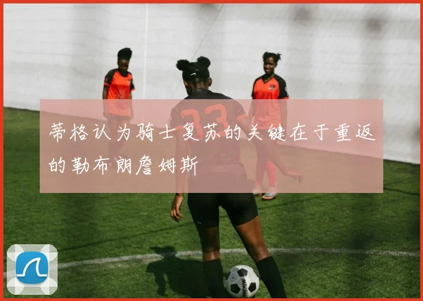 蒂格认为骑士复苏的关键在于重返的勒布朗詹姆斯
